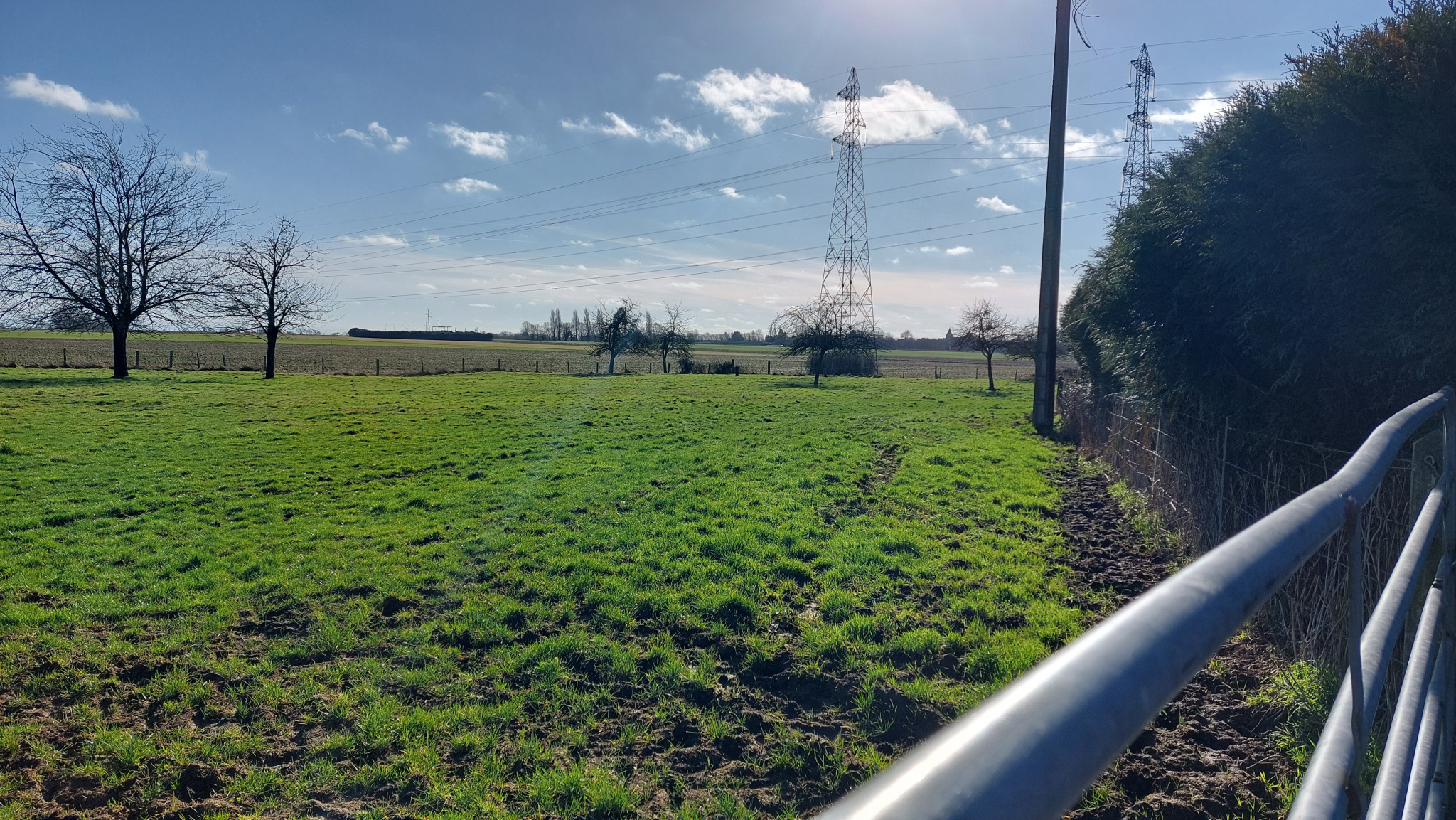 Pavillon de plain-pied sur sous-sol total avec hangar et 2 hectares de terrain