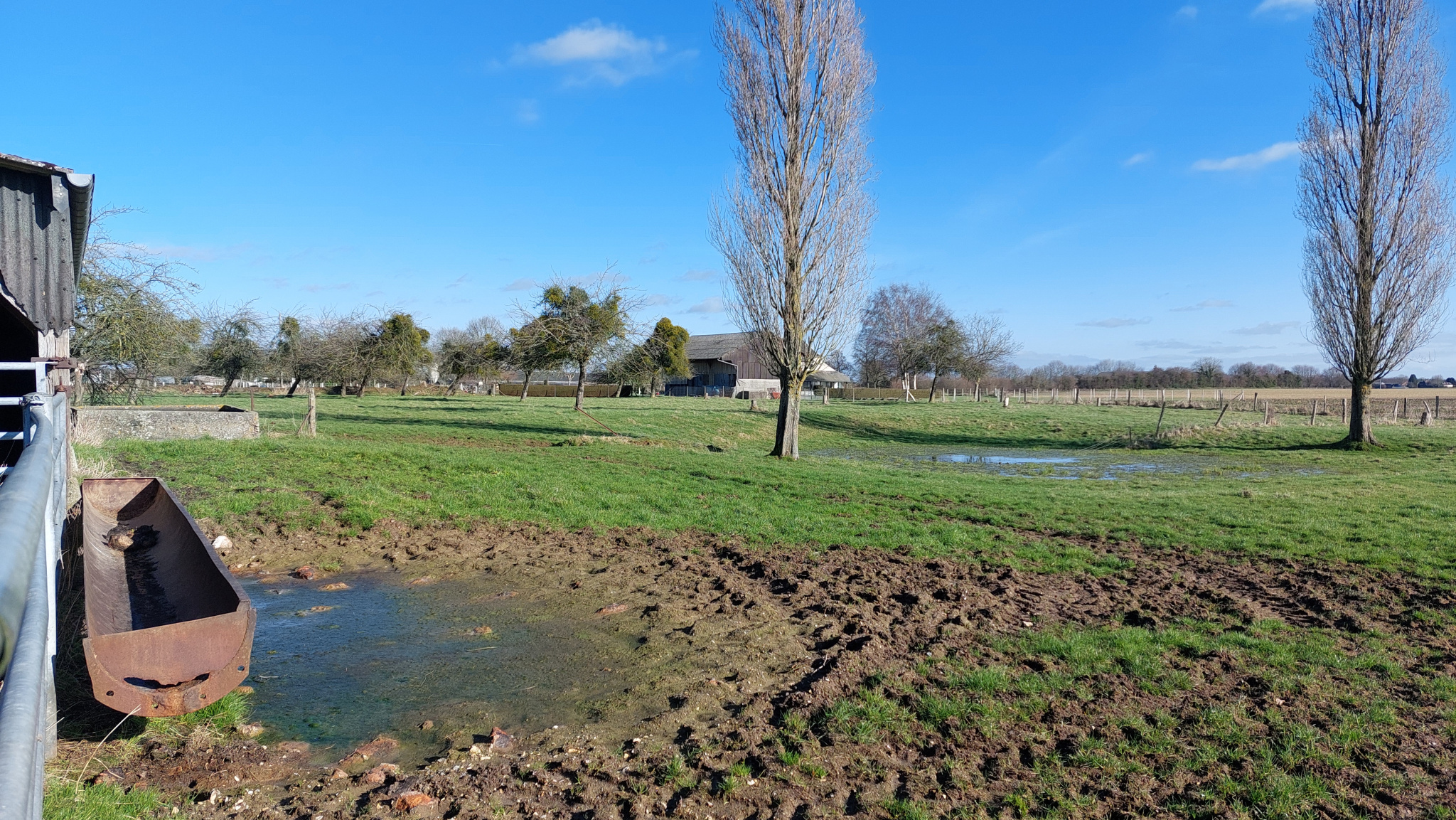 Pavillon de plain-pied sur sous-sol total avec hangar et 2 hectares de terrain