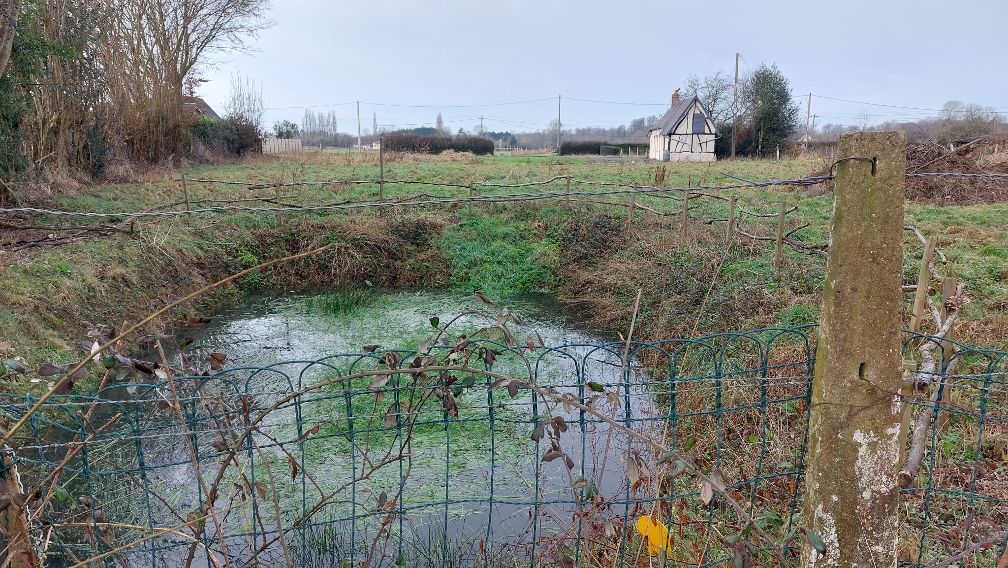 Terrain à bâtir dans un cadre Bucolique à Hauville